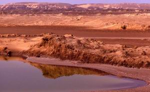 Skeleton Coast