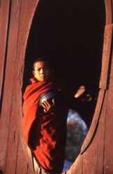 Monastero di Shwe Yan Pyay: monaco