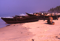 barche allineate sulla spiaggia di Colva