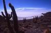 Salar di Uyuni dall' Isla del Lomo pescado