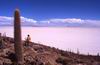 Salar di Uyuni dall' Isla del Lomo pescado