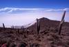 Salar di Uyuni dall' Isla del Lomo pescado