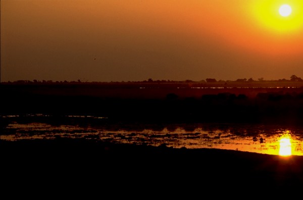 Tramonto al Chobe Park