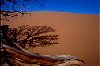 Namib Desert