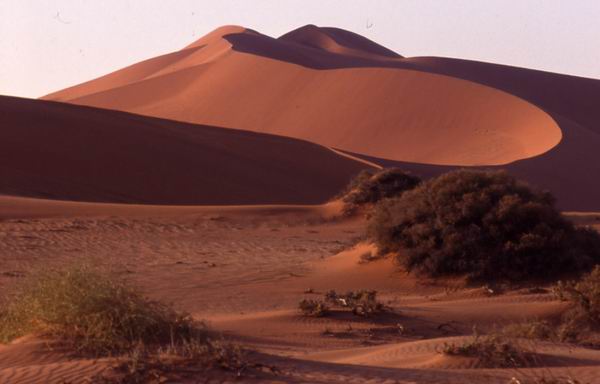 Namib Desert