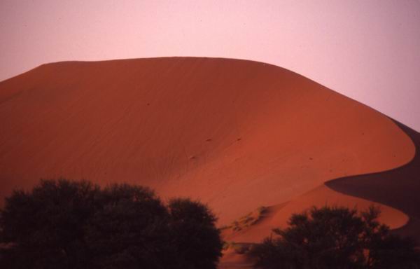 Namib Desert