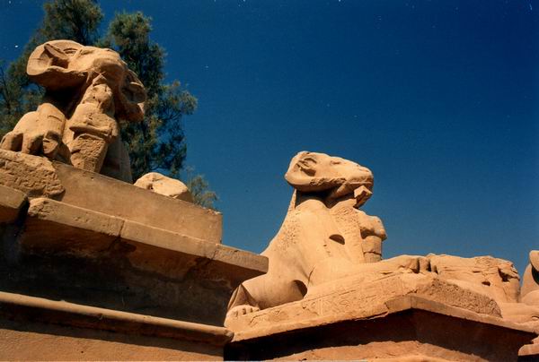 Luxor: il viale degli arieti