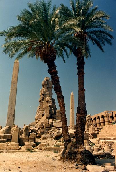 Karnak: obelischi e palme