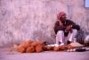 Dwarka:Venditore di noci di cocco