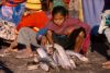 Vanakbara : Mercato del pesce