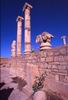 Leptis Magna : Colonne