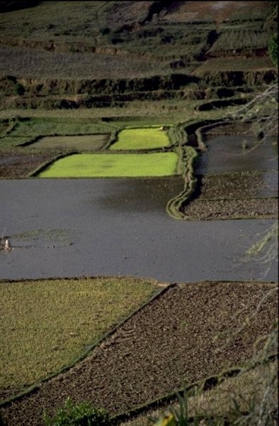 Paesaggio degli altipiani