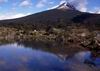 Ushuaia : Parco Nazionale Terra del Fuoco