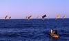 Lamalera: le barche dei pescatori a vele spiegate