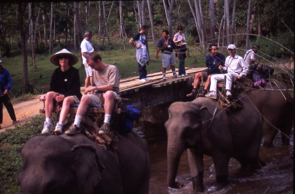 Elephant Trek