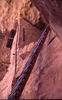 Mesa Verde : Una ripida scala